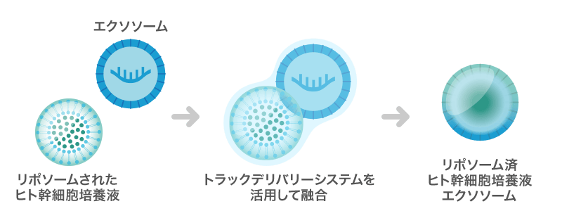 トラックデリバリーシステムを活用したリポソーム済ヒト幹細胞培養液エクソソーム